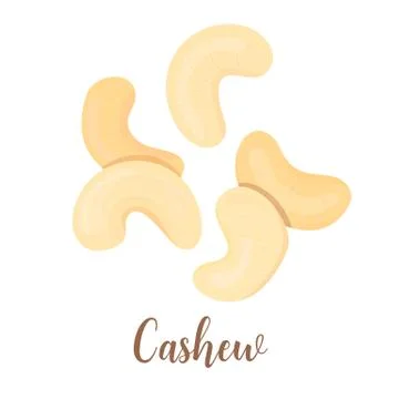 Vector group of cashew nuts isolated on white background Abstract vector Stock Illustration