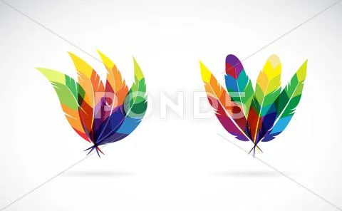 Vector group of an feathers design on white background Stock Illustration