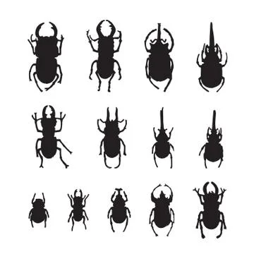 Vector group of insects on white background. Beetle Stock Illustration