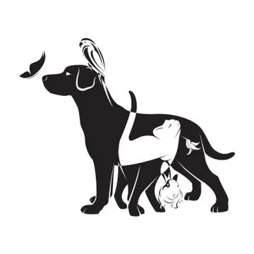 Vector group of pets - dog, cat, bird,butterfly, rabbit, isolated on white ba Stock Illustration