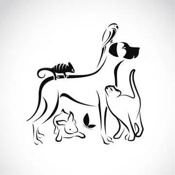 Vector group of pets - Dog, cat, parrot, chameleon, rabbit, butterfly isolate Stock Illustration
