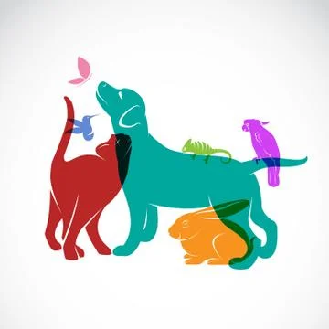 Vector group of pets - Dog, cat, parrot, chameleon, rabbit, butterfly, hummin Stock Illustration