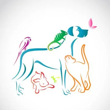 Vector group of pets - Dog, cat, parrot, chameleon, rabbit, butterfly, dragon Stock Illustration
