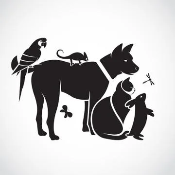 Vector group of pets - Dog, cat, parrot, chameleon, rabbit, butterfly, dragon Stock Illustration