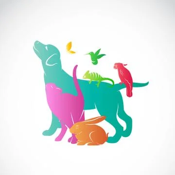 Vector group of pets - Dog, cat, parrot, chameleon, rabbit, butterfly, hummin 스톡 일러스트