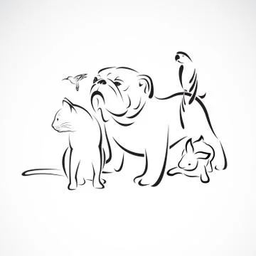 Vector group of pets - Dog, cat, bird, macaw, rabbit isolated on white backgr Stock Illustration