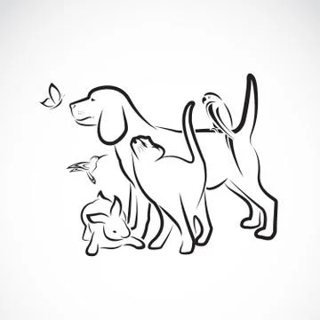 Vector group of pets - Dog, Cat, Parrot, Rabbit, Butterfly, Hummingbird, isol イラスト素材
