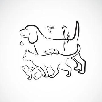 Vector group of pets - Dog, Cat, Parrot, Rabbit, Butterfly, Hummingbird,  Cha 库存插图
