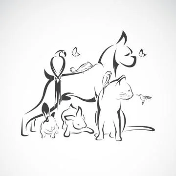Vector group of pets - Dog, Cat, Humming bird, Parrot, Chameleon, Butterfly,  イラスト素材