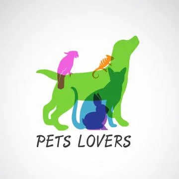 Vector group of pets - Dog, cat, parrot, chameleon, rabbit,  isolated on whit イラスト素材
