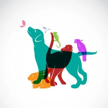 Vector group of pets - Dog, cat, parrot, chameleon, rabbit, butterfly, hummin Stock Illustration
