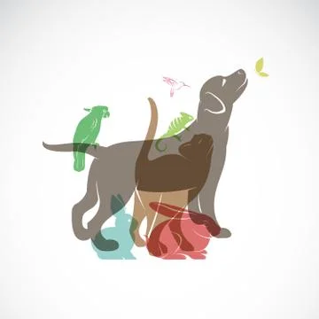 Vector group of pets - Dog, cat, parrot, chameleon, rabbit, butterfly, hummin 스톡 일러스트