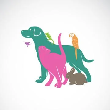 Vector group of pets - Dog, Cat, Parrot, Chameleon, Rabbit, Hummingbird isola Stock Illustration