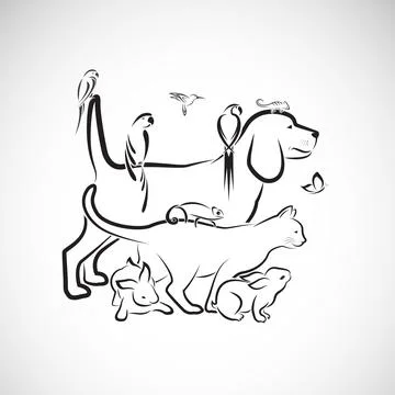Vector group of pets - Dog, Cat, Parrot, Rabbit, Butterfly, Hummingbird, isol 스톡 일러스트