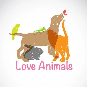 Vector group of pets - Dog, cat, parrot, chameleon, rabbit, butterfly, isol.. 스톡 일러스트
