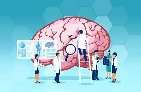 Vector of a group of scientists and doctors study human brain and psycholog.. Stock Illustration
