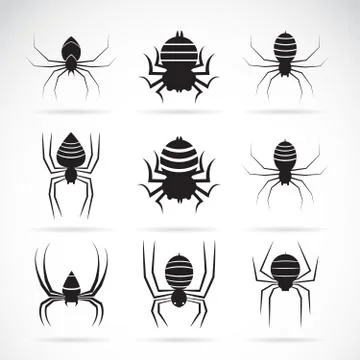 Vector group of spiders on white background. Insect Animals. Spiders Icon. Stock Illustration