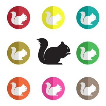 Vector group of squirrel Illustrazione stock