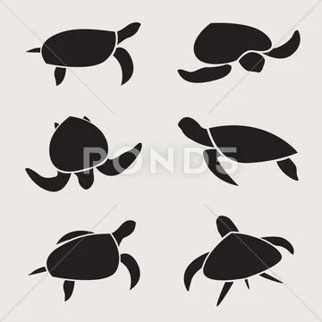 Vector group of turtle Stock Illustration