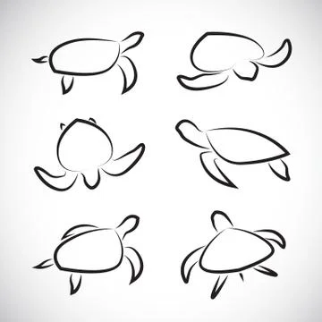 Vector group of turtle 스톡 일러스트