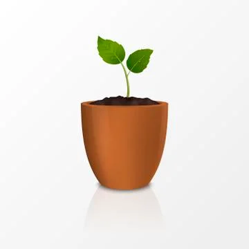 Vector growth concept. Design template of realistic icon of the sprout in a Stock Illustration