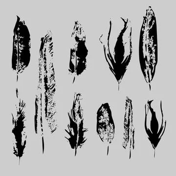 Vector Grunge bird feathers set. Isolated illustration element. Vector feathe Stock Illustration