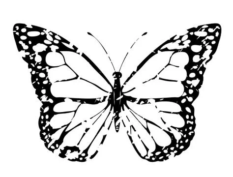 Vector grunge butterfly Stock Illustration