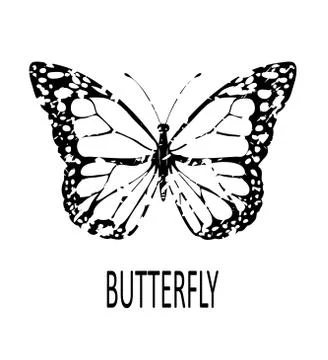 Vector Grunge Butterfly Illustrazione stock