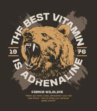 Vector Grunge Emblem With Roaring Bear Stock Illustration