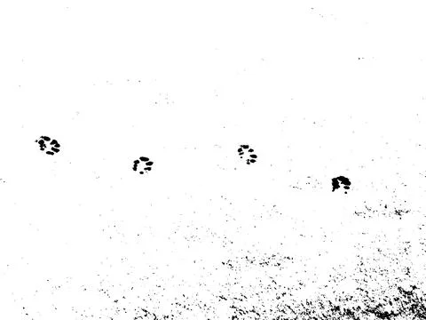 Vector grunge texture of cat paw イラスト素材