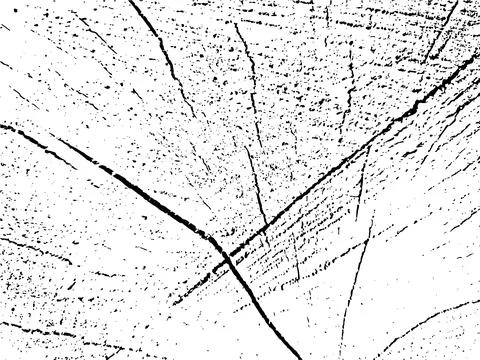 Vector grunge texture of a cross section of a larch tree with cracks Stockillustratie