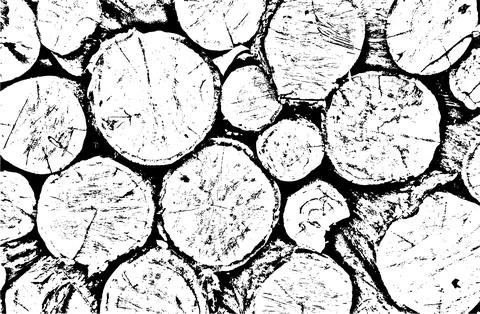 Vector grunge texture of cut trees with cracks, grains Stock-Illustration