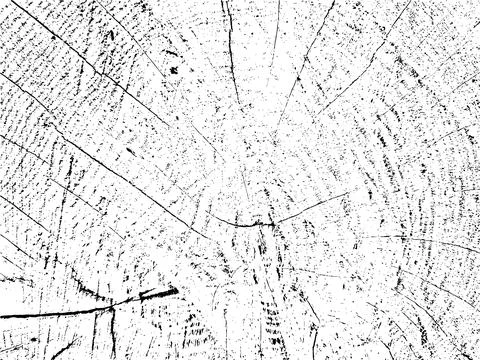 Vector grunge texture of distressed old wood with cracks, grains Stock-Illustration