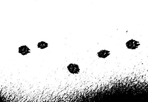 Vector grunge texture of dog paw prints on fresh snow Illustrazione stock