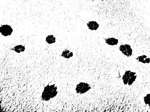 Vector grunge texture of dog paw prints on snow Illustrazione stock