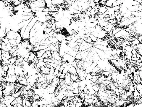 Vector grunge texture of fallen leaves in late autumn Illustration