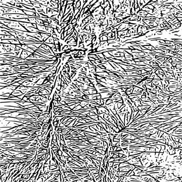 Vector grunge texture Stock Illustration