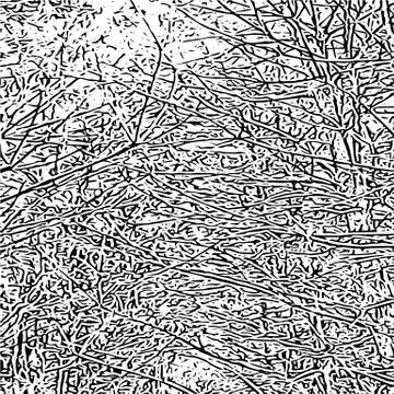 Vector grunge texture Stock Illustration