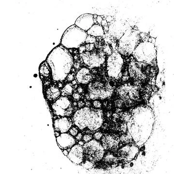 Vector grunge texture  Stock Illustration