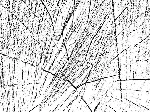 Vector grunge texture of larch tree cross-section Illustrazione stock