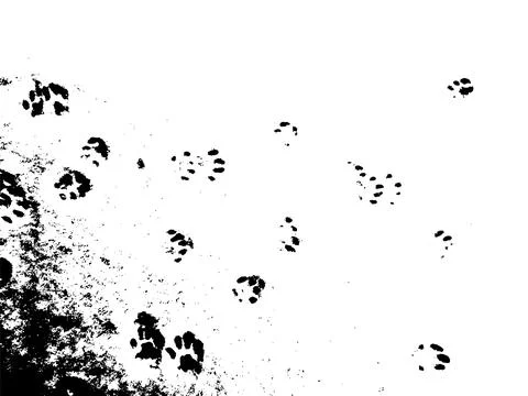 Vector grunge texture of a large number of cat paw Illustrazione stock