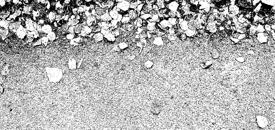 Vector grunge texture of a large number of fallen leaves on asphalt 스톡 일러스트