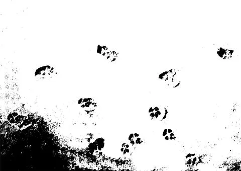 Vector grunge texture of a lot of dog paw prints in the snow Stockillustratie