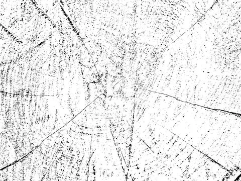 Vector grunge texture of maple cross section with cracks Ilustración de archivo