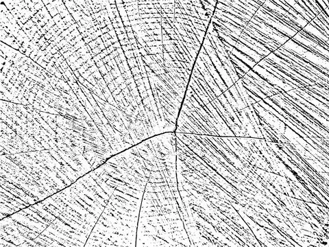 Vector grunge texture with a natural and organic background 스톡 일러스트