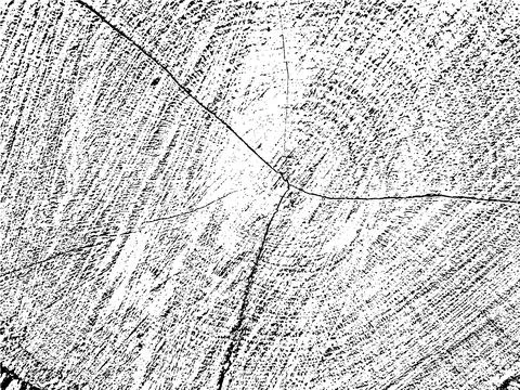 Vector grunge texture of an old tree slice with cracks, grains Stock Illustration