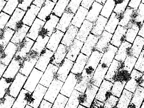 Vector grunge texture of paving slabs with grass breaking through Stock Illustration