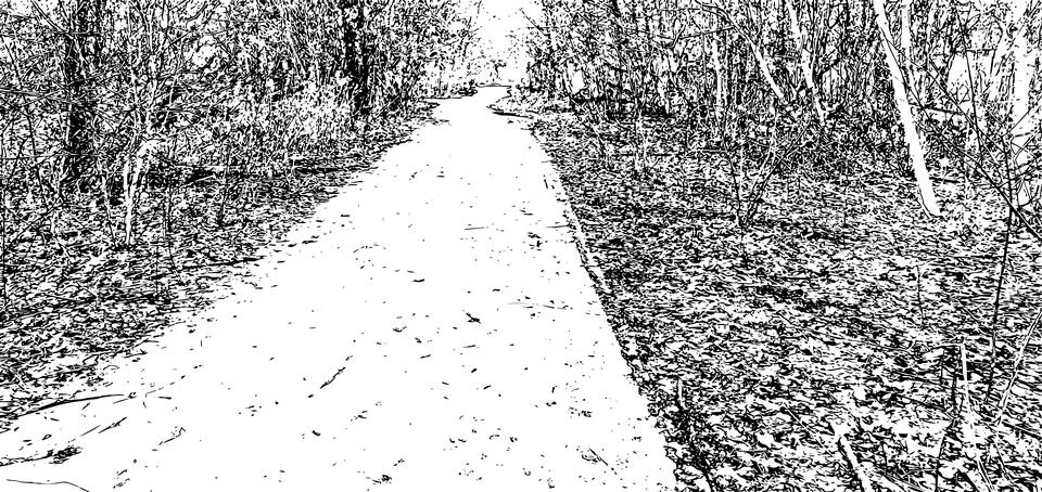 Vector grunge texture of the road through the thicket 스톡 일러스트