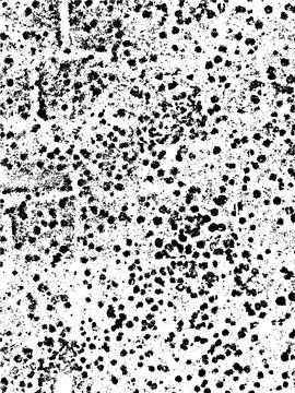 Vector grunge texture of snow with raindrop traces Illustration