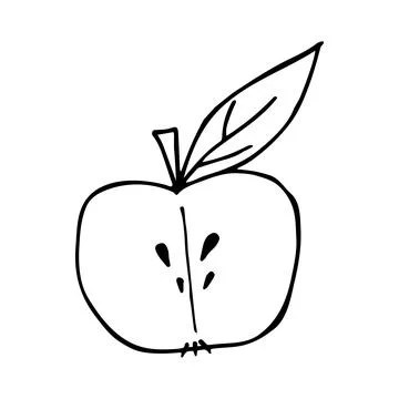 Vector half apple in doodle style Stock Illustration